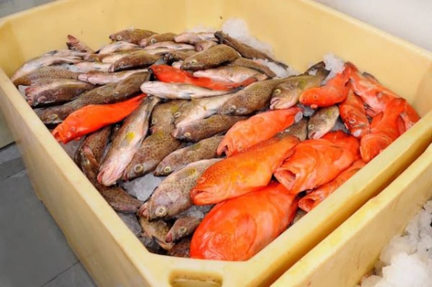 Fresh Seafood on the Beach_5